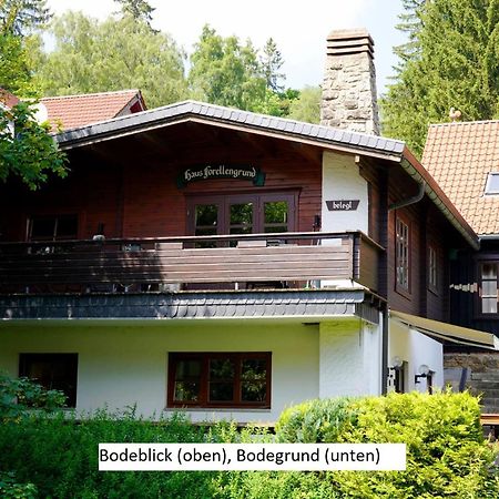 Ferienwohnungen Forellengrund Schierke Exteriör bild